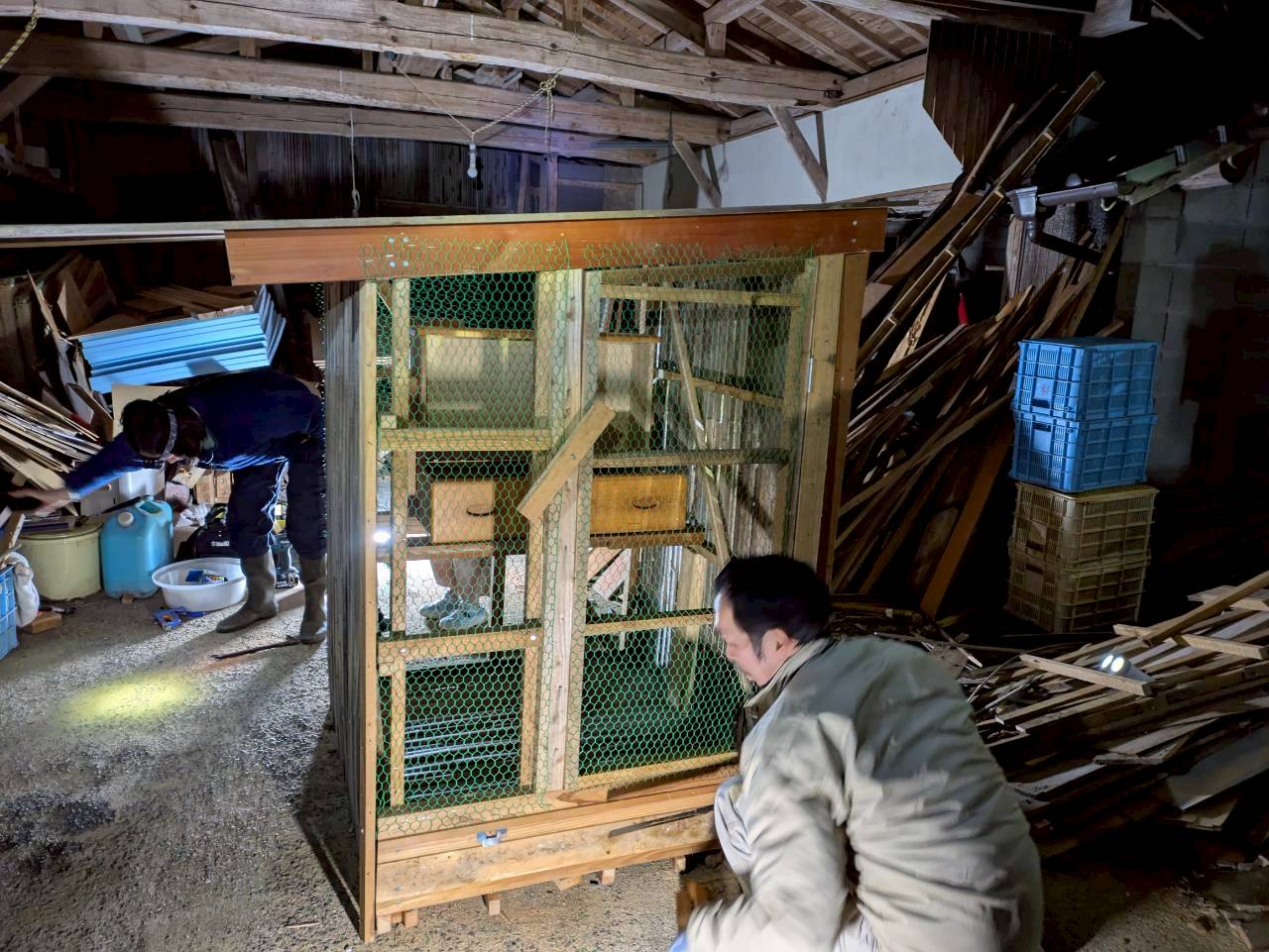 LINE_ALBUM_2026211 鶏小屋づくり_260224_7