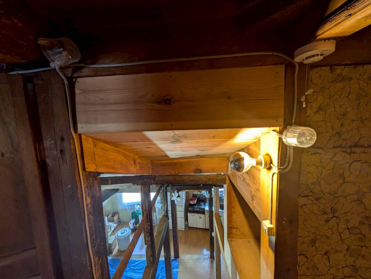 LINE_ALBUM_2026212_260224_1