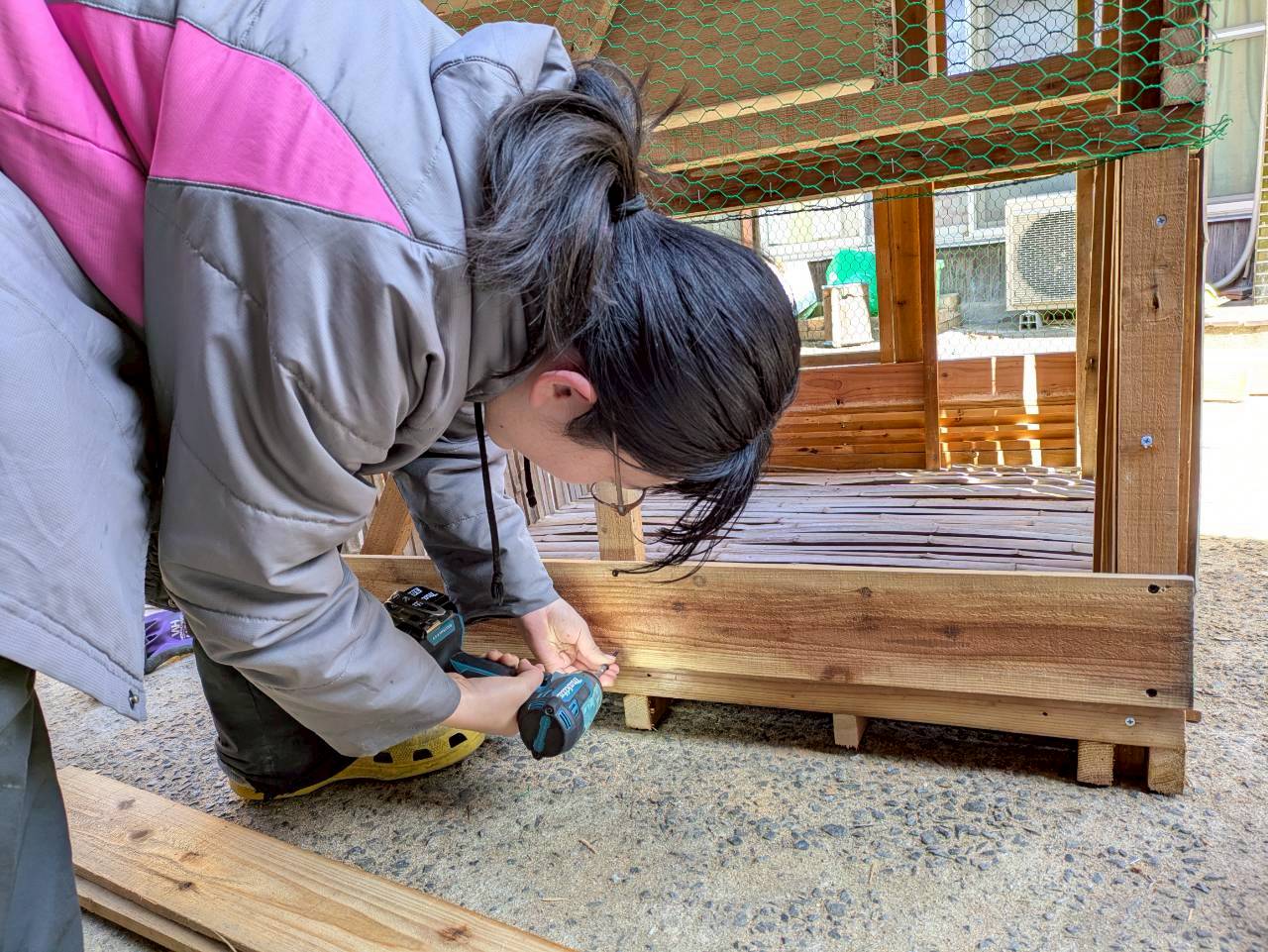 LINE_ALBUM_2026212_260224_2